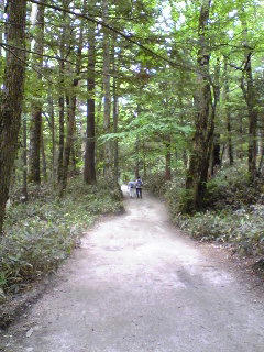 山道