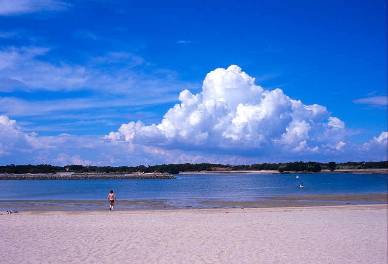 夏の佐久島