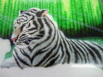 201003301902000.jpg