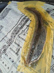 201006101210000.jpg