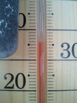 201008051204000.jpg