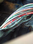 201009111357000.jpg