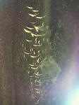 201009151024000.jpg