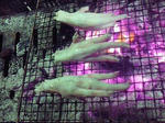 201009182304000.jpg