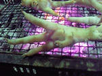 201009182308000.jpg