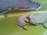 201011171340001.jpg