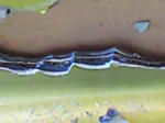 201011171341000.jpg