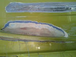 201011171418002.jpg