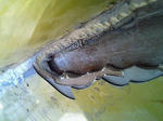 201011171430000.jpg
