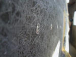 201011201130000.jpg