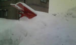 20110116140021.jpg