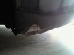 201108091027001.jpg