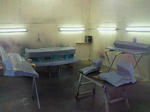 NEC_0010.jpg