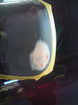 201111161033000.jpg