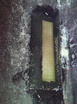 201112031136000.jpg