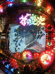 201112301302000.jpg