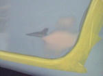 201201051742000.jpg