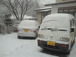 201202250848000.jpg
