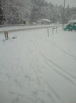 201202251124000.jpg