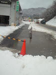 201202251634000.jpg