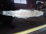 201202281116000.jpg