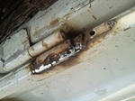 201204051524000.jpg