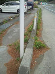 201207031658000.jpg