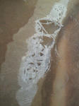 201206251334001.jpg