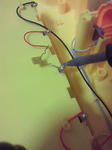 201209021940000.jpg