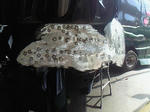 201209041420000.jpg