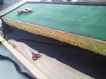 201209081738000.jpg