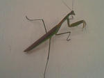 201209141306000.jpg