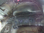 NEC_1286.jpg