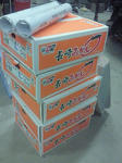 201212011827000.jpg