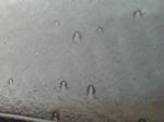 201212021030001.jpg