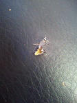 201212061227001.jpg