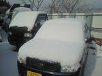 201302230918000.jpg