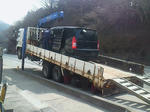 201303291013000.jpg