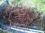 201305271803000.jpg