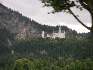 IMGP0326.JPG
