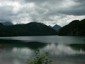 IMGP0313.JPG