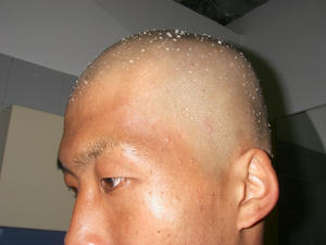 IMGP0429.JPG