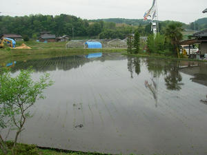 taue.JPG