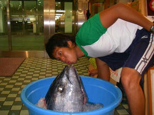 aomori-maguro.JPG