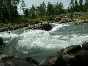 IMGP3241.jpg