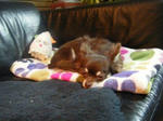 DSCF1389.JPG