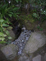 R0012200.jpg