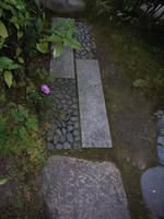 R0012201.jpg