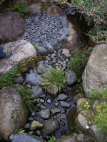 R0012203.jpg