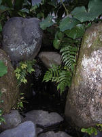 R0012206.jpg
